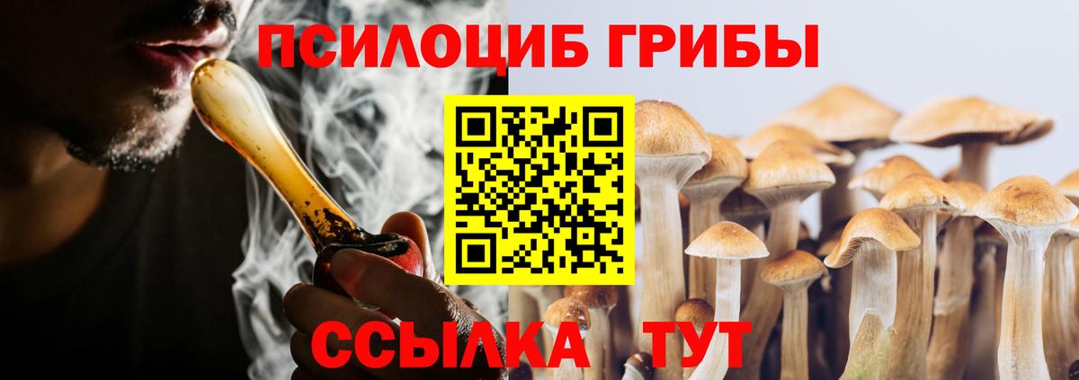 Гагарин  Псилоцибиновые грибы Magic Shrooms  Вход с VPN 